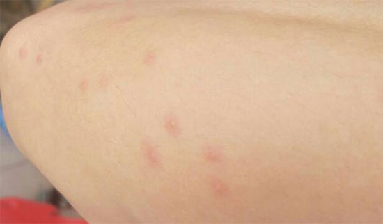 ���ϳ������ʲôԭ�� ���𳤺��Ŀ�������